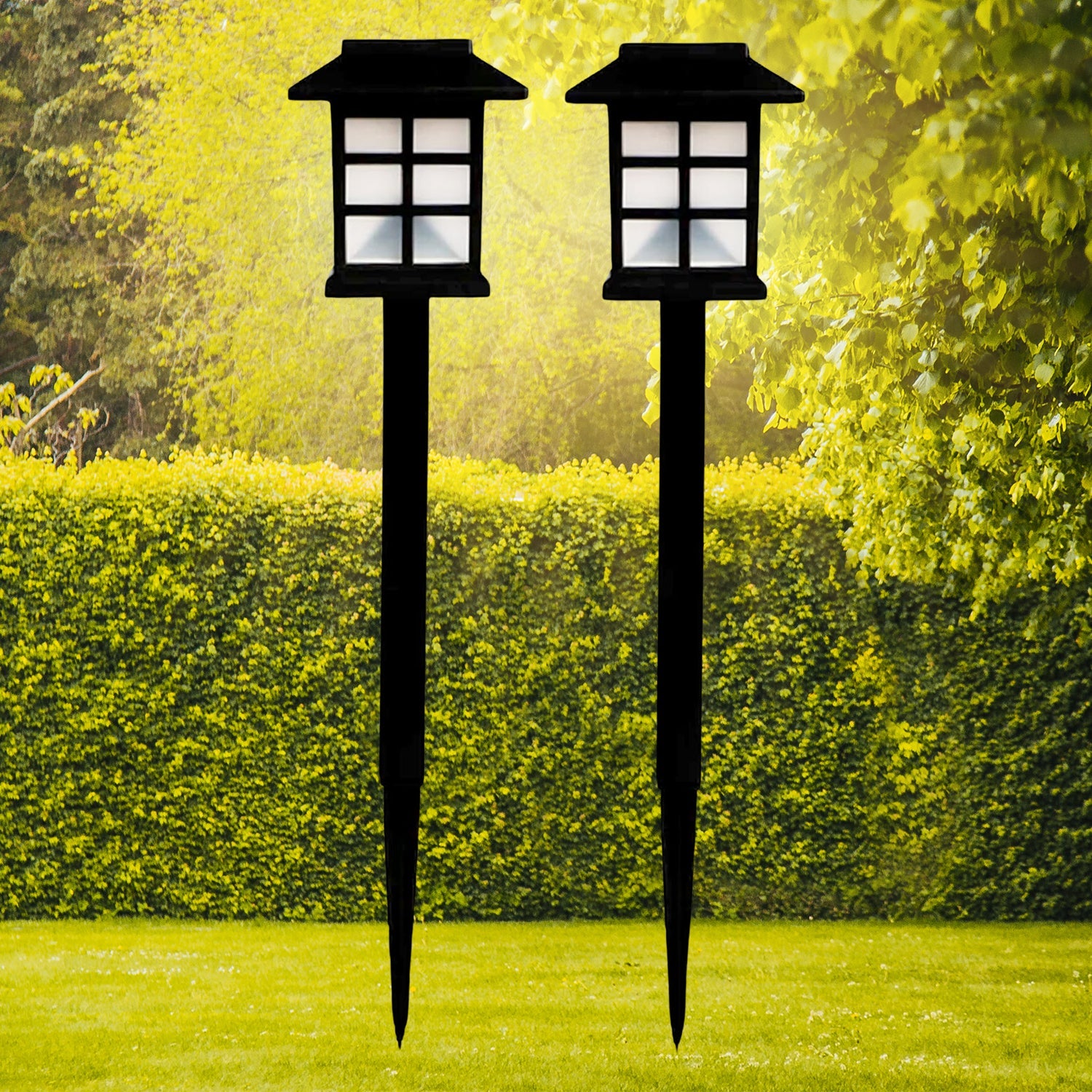 Solar Garden Lights, Set of 2