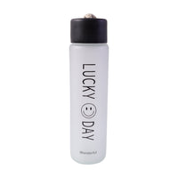 Premium Frosted Glass Water Bottle With Leak Proof Lid (350 Ml)